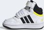 Adidas Perfor ce Hoops Mid Schoenen - Thumbnail 19