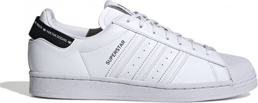 Adidas Originals Buty sneakersy Superstar Gy0977 Wit Dames - Foto 9