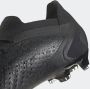 Adidas Perfor ce Predator Accuracy.1 Low Firm Ground Voetbalschoenen Unisex Zwart - Thumbnail 15