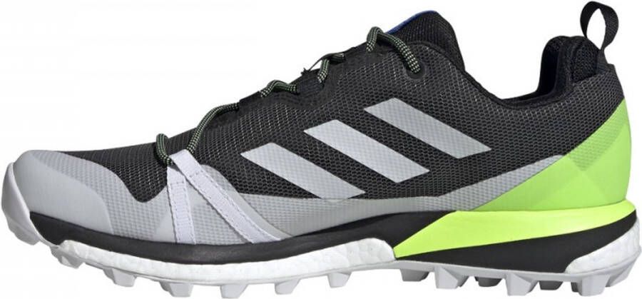 adidas Performance Terrex Skychaser Lt Gtx Wandelschoenen Mannen Zwarte