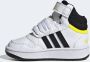 Adidas Perfor ce Hoops Mid Schoenen - Thumbnail 6