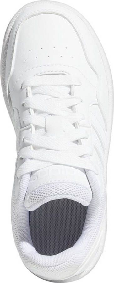 adidas Sportswear Hoops Schoenen Kinderen Wit