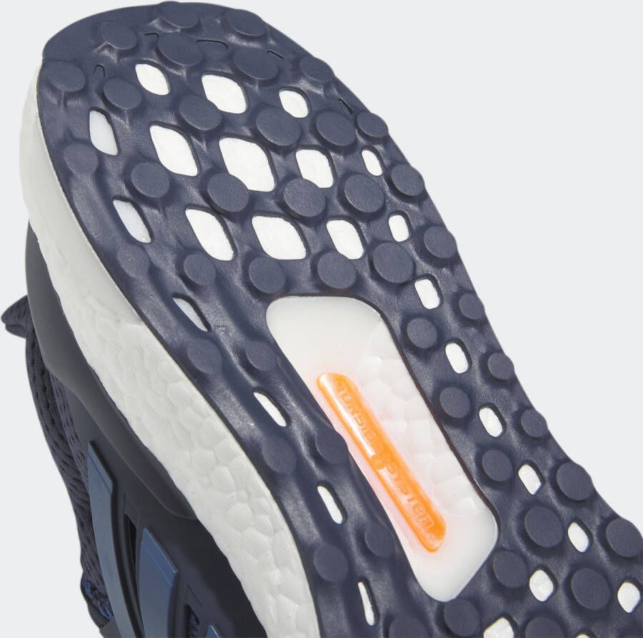 adidas Sportswear Ultraboost 1.0 Schoenen Unisex Blauw
