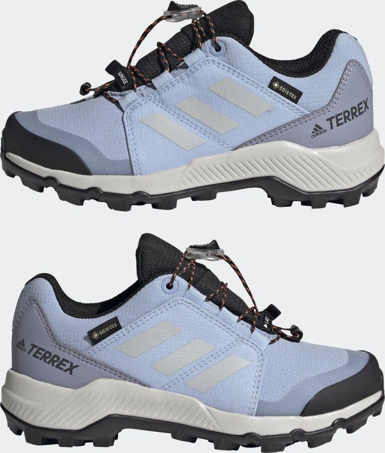 adidas TERREX GORE-TEX Hiking Schoenen Kinderen Blauw