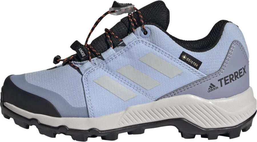 adidas TERREX GORE-TEX Hiking Schoenen Kinderen Blauw