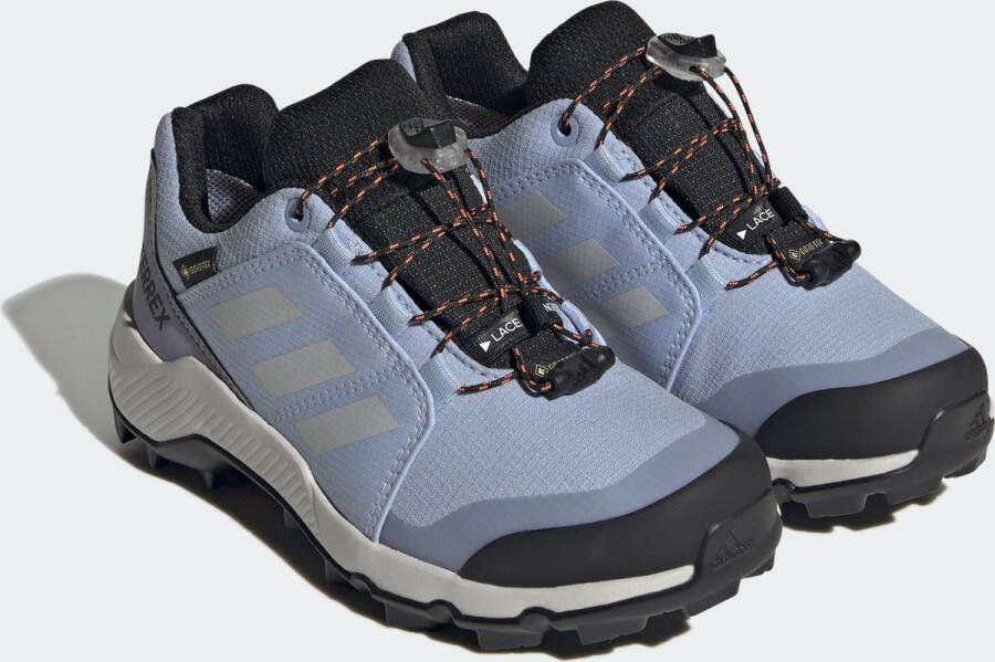 adidas TERREX GORE-TEX Hiking Schoenen Kinderen Blauw