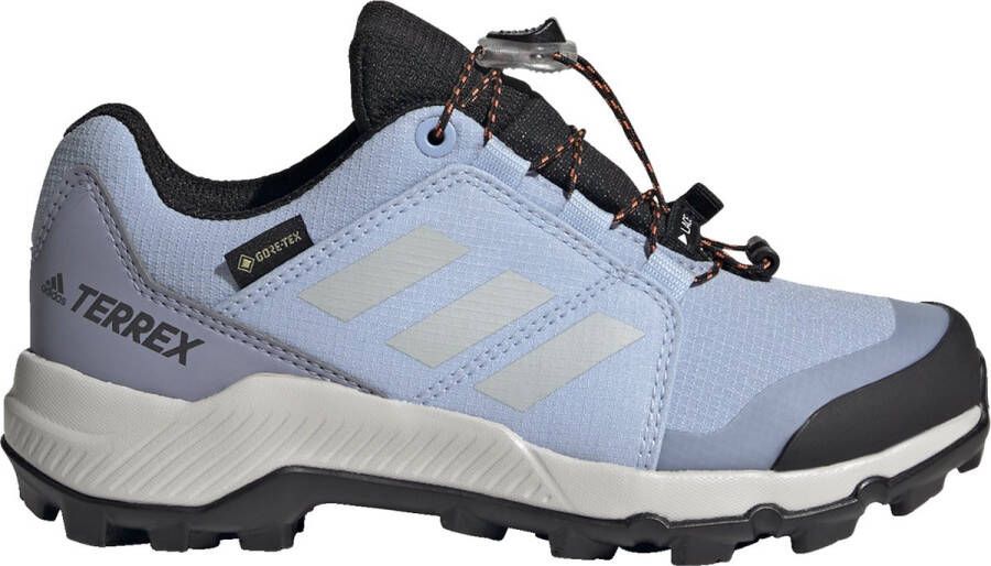 adidas TERREX GORE-TEX Hiking Schoenen Kinderen Blauw