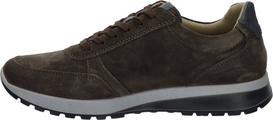 Ara Tijdloze herensneaker Brown Heren - Foto 6