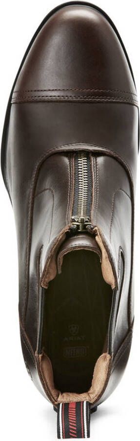 Ariat Devon Nitro Paddock heren black