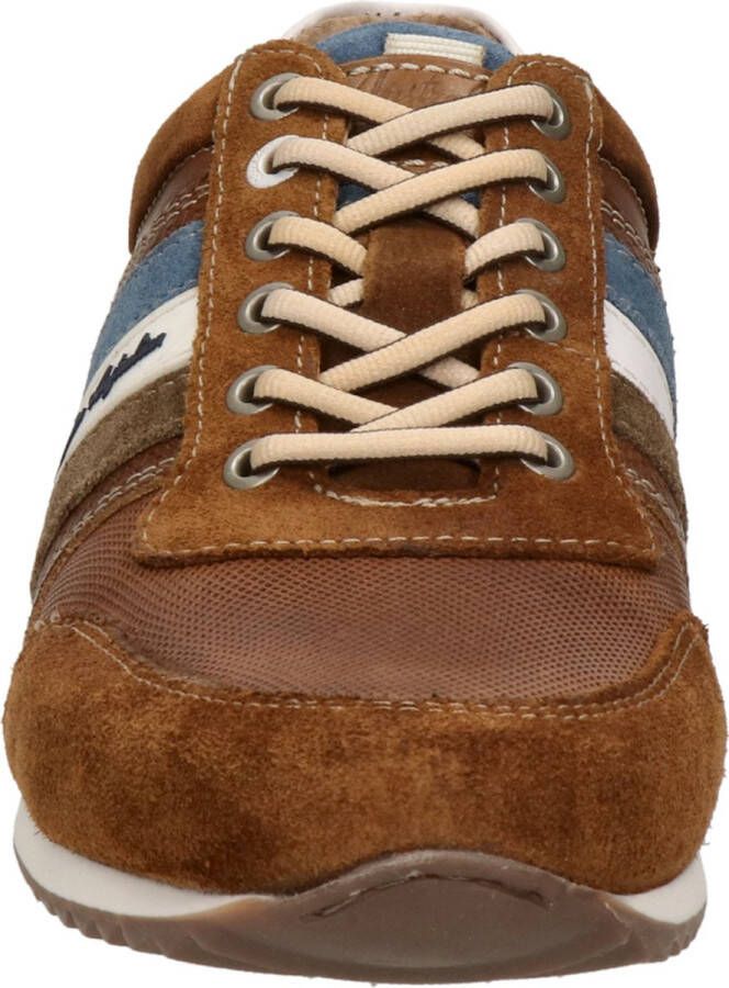 Australian Camaro Lage sneakers Leren Sneaker Heren Bruin