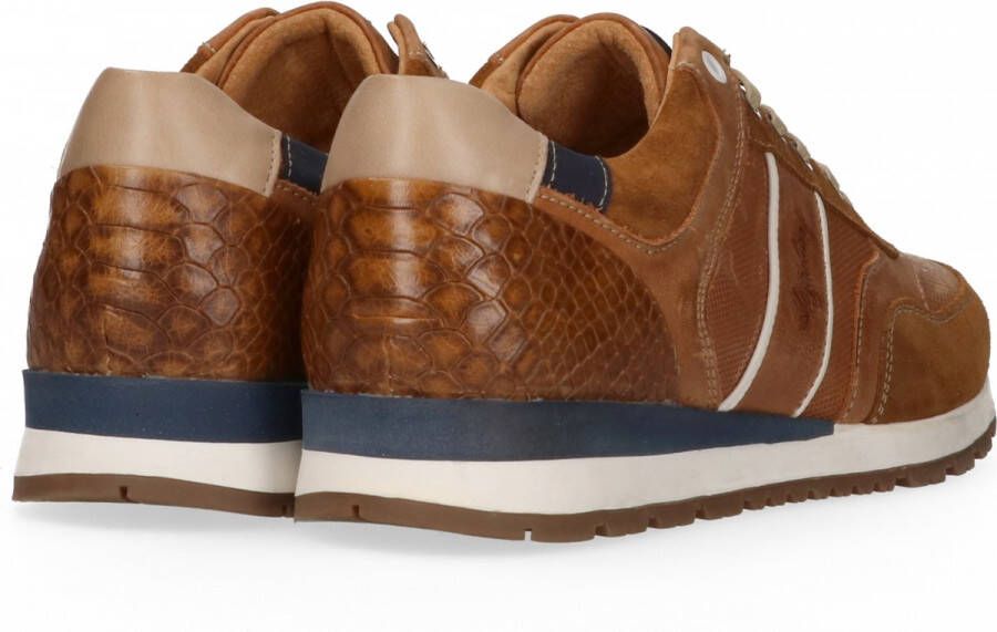 Australian Navarone Lage sneakers Leren Sneaker Heren Cognac