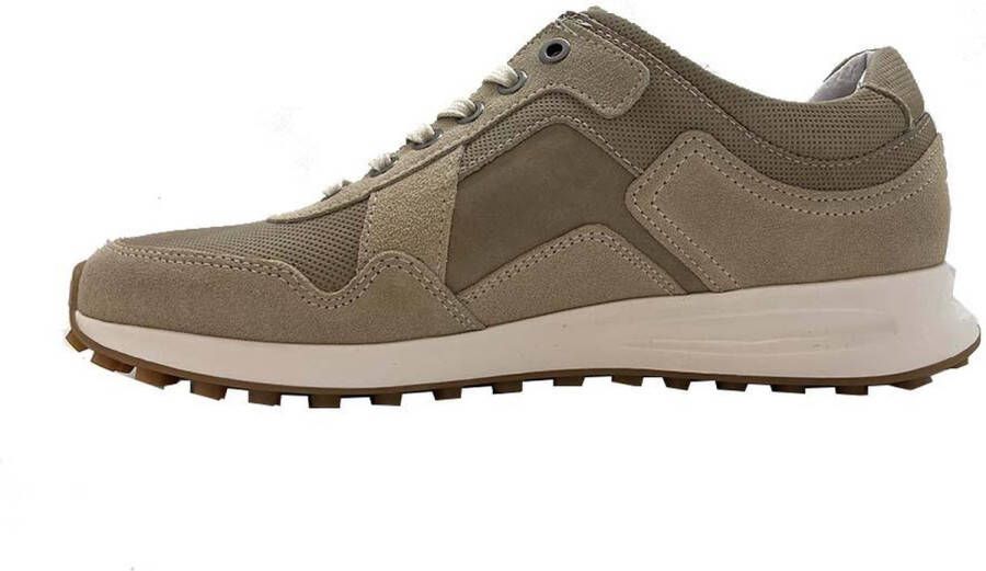 Australian Rebound Lage sneakers Heren Beige