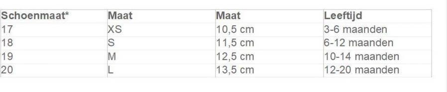 Baby Dutch Babyslofjes Tijgerprint