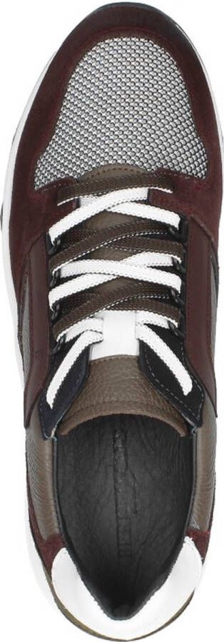 Berkelmans Zandvoort Sneakers Laag Bordeaux