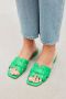 BiBi Lou Slippers Dames Sandalen Instappers Damesschoenen Leer Blokhak 760Z10VK Groen - Thumbnail 11