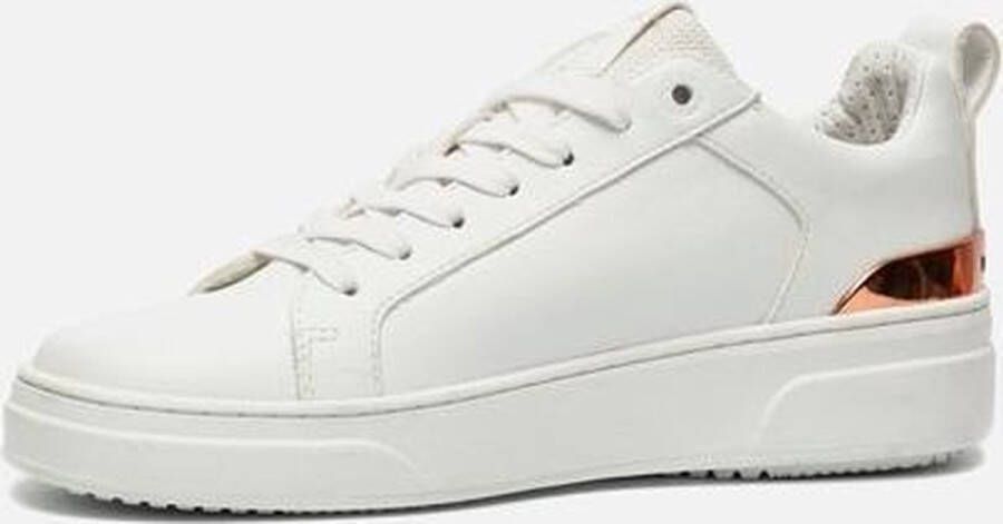Björn Borg T1910 PAT sneakers wit Imitatieleer