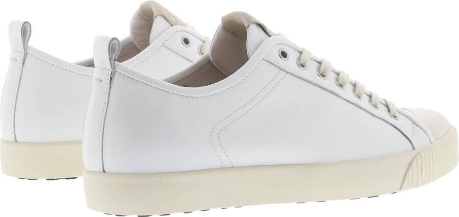 Blackstone VG27 WHITE LOW SNEAKER Man White