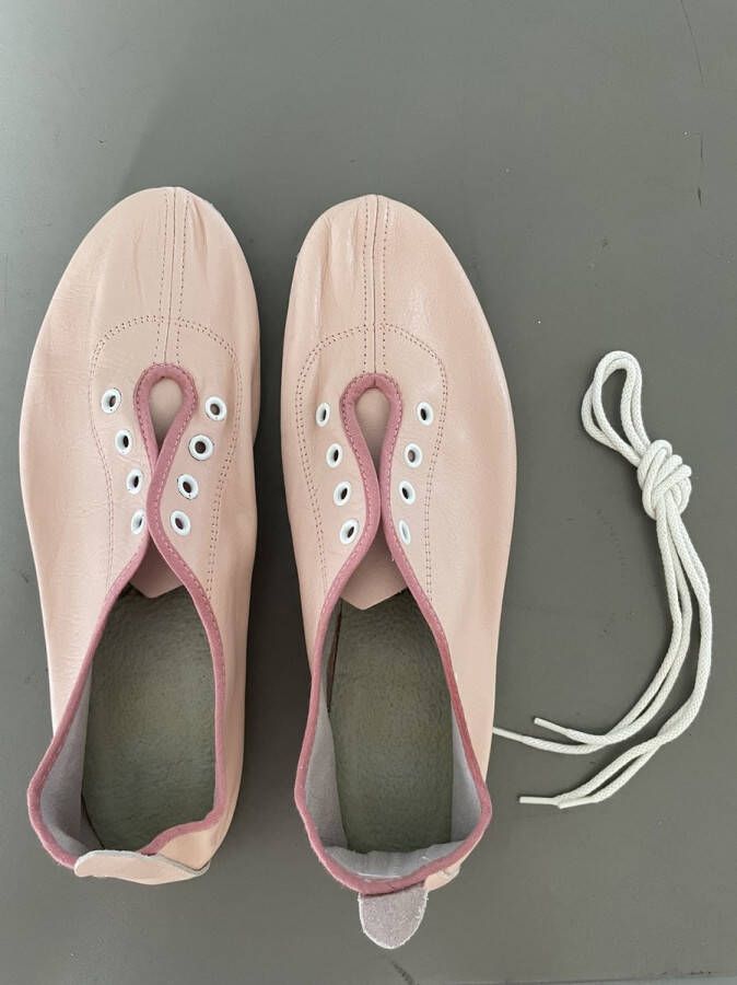 Bleyer Jazz ballet pantoffel Roze Opgezette hak