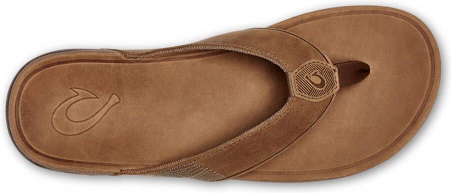 Bruin Tinten Tuahine Slippers Heren Bruin