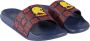 CERDÁ LIFE'S LITTLE MO TS Harry Potter Gryffindor Zwembad Flip-Flops - Thumbnail 3
