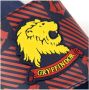 CERDÁ LIFE'S LITTLE MO TS Harry Potter Gryffindor Pool Flip-Flops - Thumbnail 5
