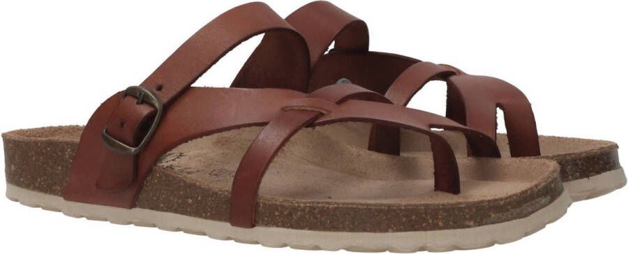 COSMOS Teenslippers cognac