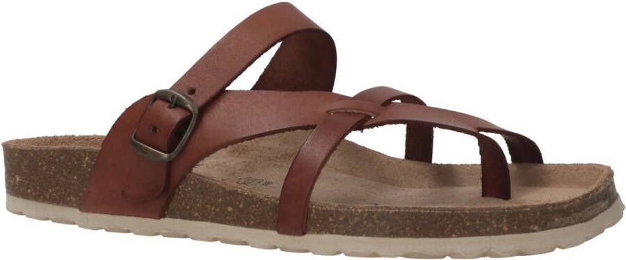 COSMOS Teenslippers cognac