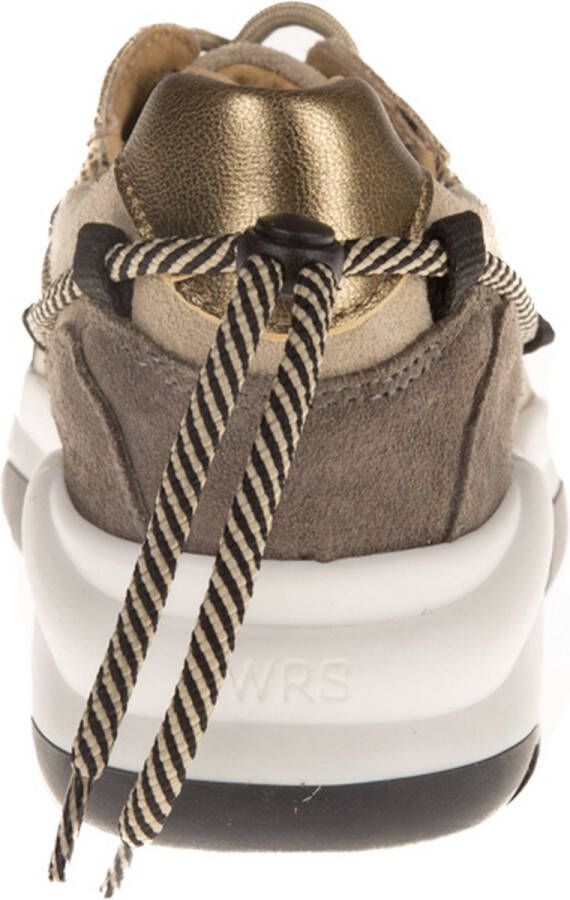 Dwrs Dames Sneakers Maryland Elefante smoke Multi