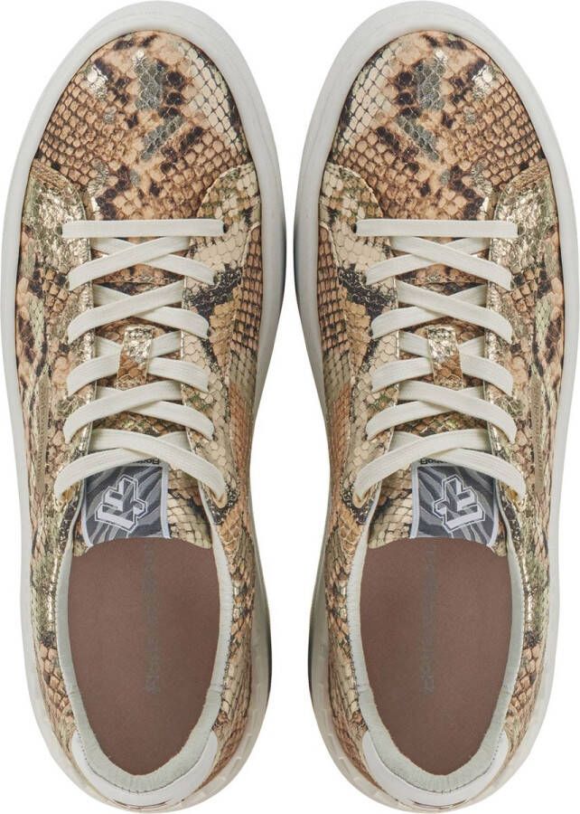Floris van Bommel Floris van Sneakers Dames Lage sneakers Damesschoenen Leer SFW-10106 print Slangenprint Goud
