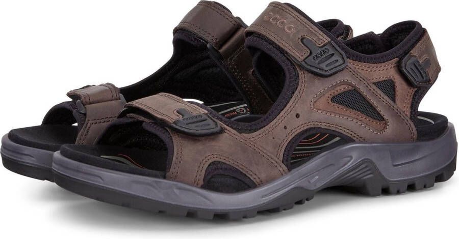 ECCO Sandalen Mannen donker bruin zwart