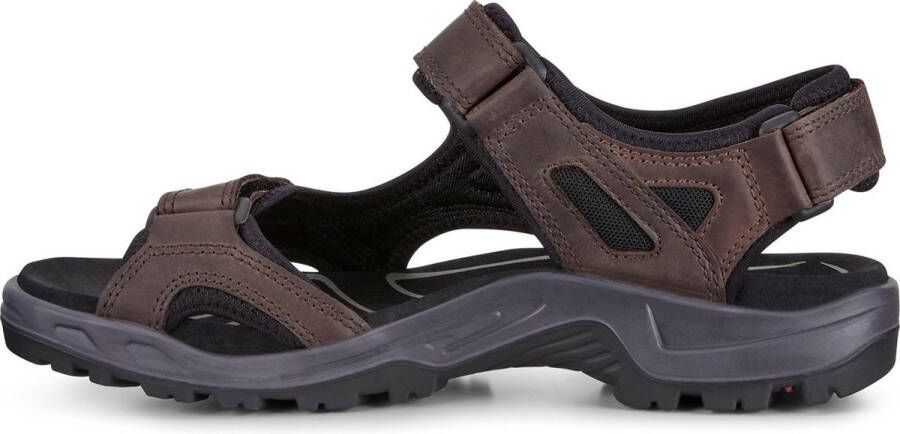 ECCO Sandalen Mannen donker bruin zwart