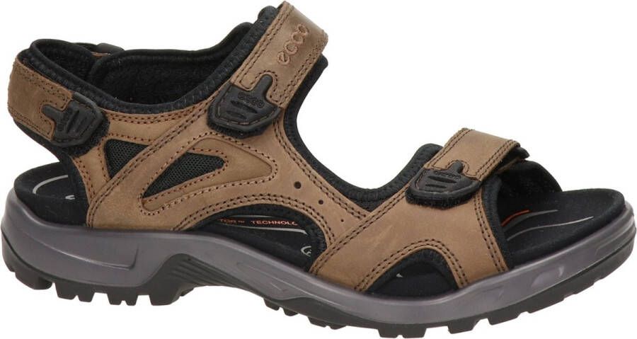 ECCO Sandalen Mannen donker bruin zwart