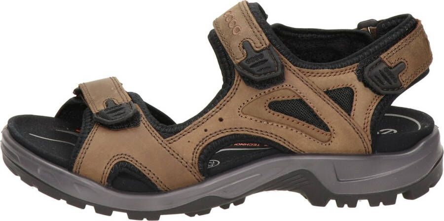 ECCO Sandalen Mannen donker bruin zwart