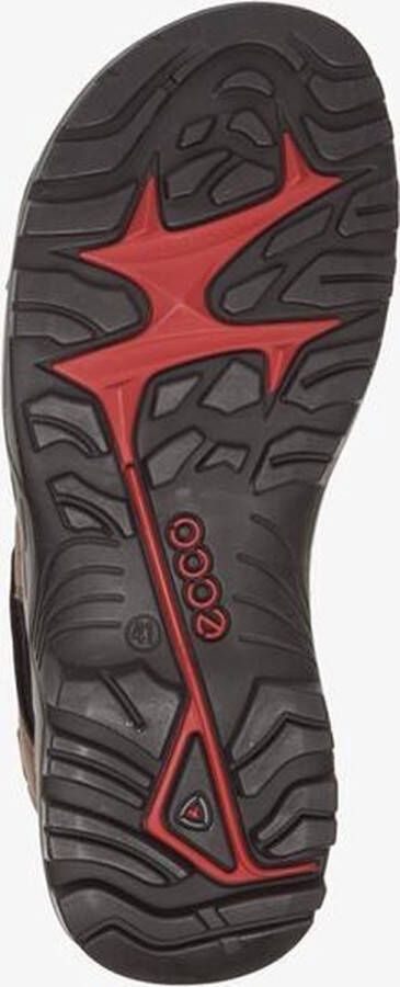 ECCO Terracruise leren heren sandalen Bruin Echt leer - Foto 9