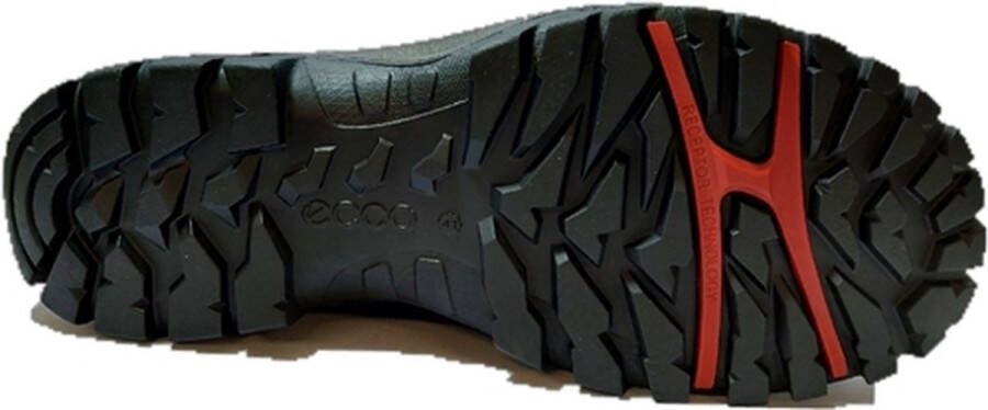 Ecco Veterschoenen XPEDITION 3 M met gore-tex outdoorschuh lage schoen veterschoen - Foto 9