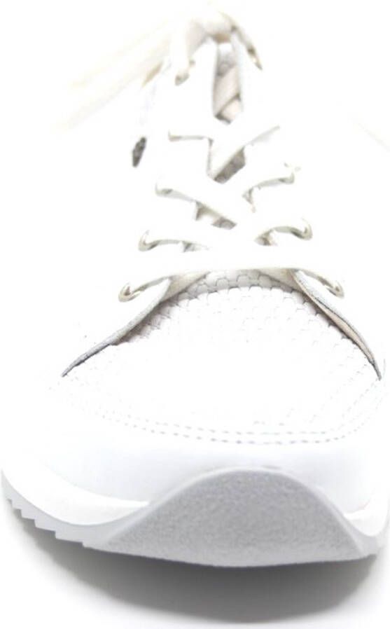 FinnComfort Finn Comfort PORDENONE 02377-902413 Witte sneaker wijdte H