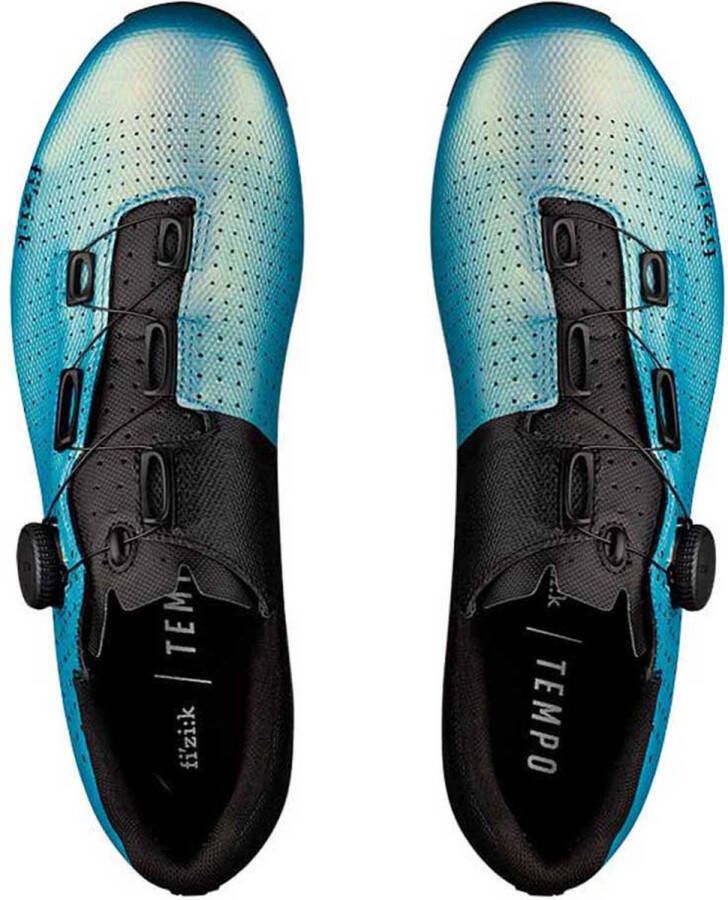 Fizik Tempo Decos Carbon Racefiets Schoenen Blauw Man