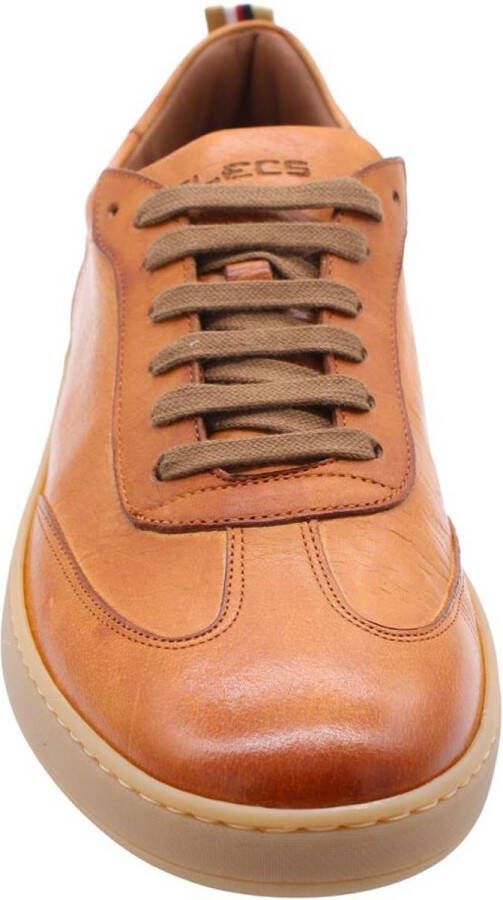 Flecs Sneaker Brown