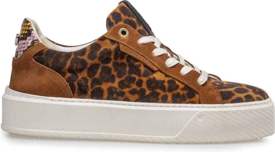 Floris van Bommel SFW-10106-23-01~~~~~~~~~~~~~~~ Lage sneakersDames sneakers Bruin - Foto 6