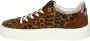Floris van Bommel SFW-10106-23-01~~~~~~~~~~~~~~~ Lage sneakersDames sneakers Bruin - Thumbnail 13
