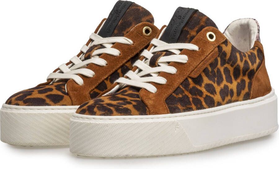 Floris van Bommel SFW-10106-23-01~~~~~~~~~~~~~~~ Lage sneakersDames sneakers Bruin - Foto 3