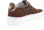 Floris van Bommel SFW-10106-23-01~~~~~~~~~~~~~~~ Lage sneakersDames sneakers Bruin - Thumbnail 15