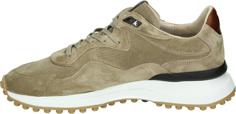 Floris van Bommel Noppie sneakers taupe