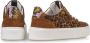 Floris van Bommel SFW-10106-23-01~~~~~~~~~~~~~~~ Lage sneakersDames sneakers Bruin - Thumbnail 13