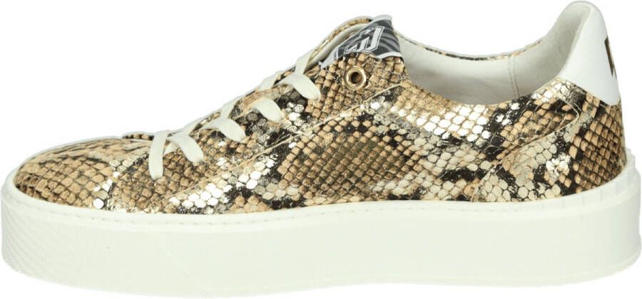Floris van Bommel SFW-10106-91-01 Volwassenen Lage sneakers Bruin
