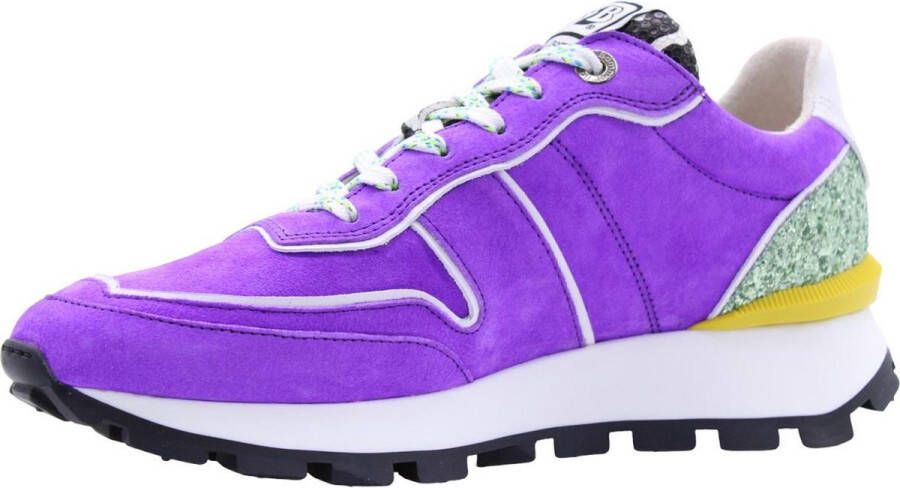 Floris van Bommel Sneaker Purple