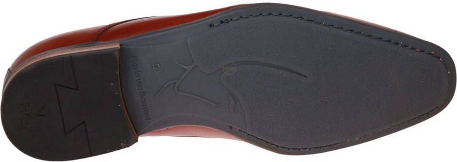 Van Bommel Floris 30295 De Slimmer DarkCogna H