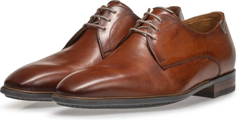 Van Bommel Floris 30295 De Slimmer DarkCogna H