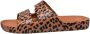 Freedom Moses ""Slippers Leo Toffee"" Caramel met Leopard print - Thumbnail 9