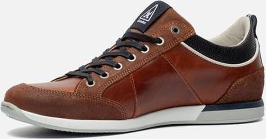Gaastra Bayline sneakers cognac